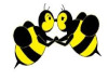Meant To Bee Wedding Services